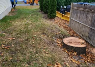 Dependable Tree Trimming
