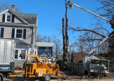 Quality Tree Service