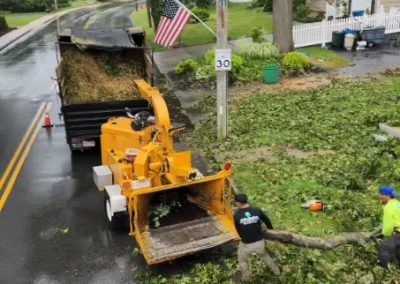 Quality Tree Trimming