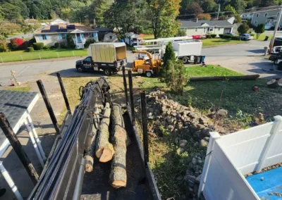 Reliable Tree Trimming