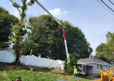 Tree Service