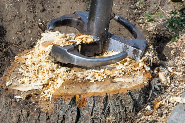 Stump Removal